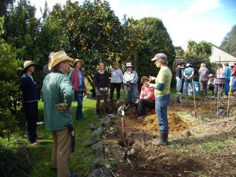 1240475_550847134969198_1054891339_n