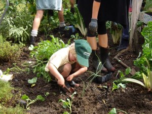 Child helps plant