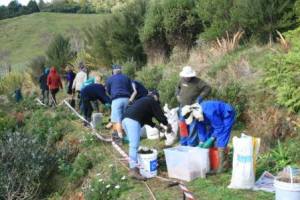 Making the pumpkin mounds