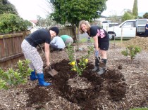 OLYMPUS DIGITAL CAMERA