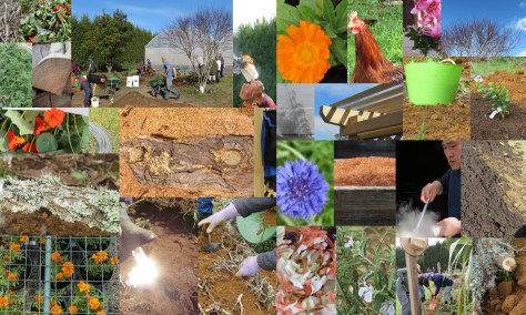 Blitz Colour Collage