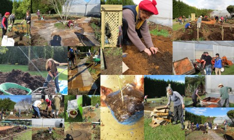 Guild-Planting Collage No Jenni