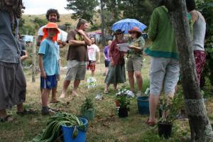 Permablitz workshop 5