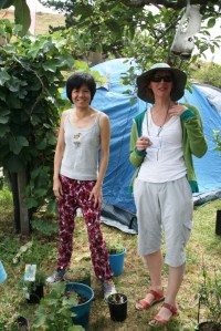 Permablitz workshop 6