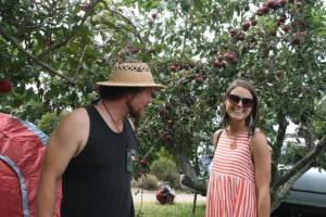 Permablitz workshop 7